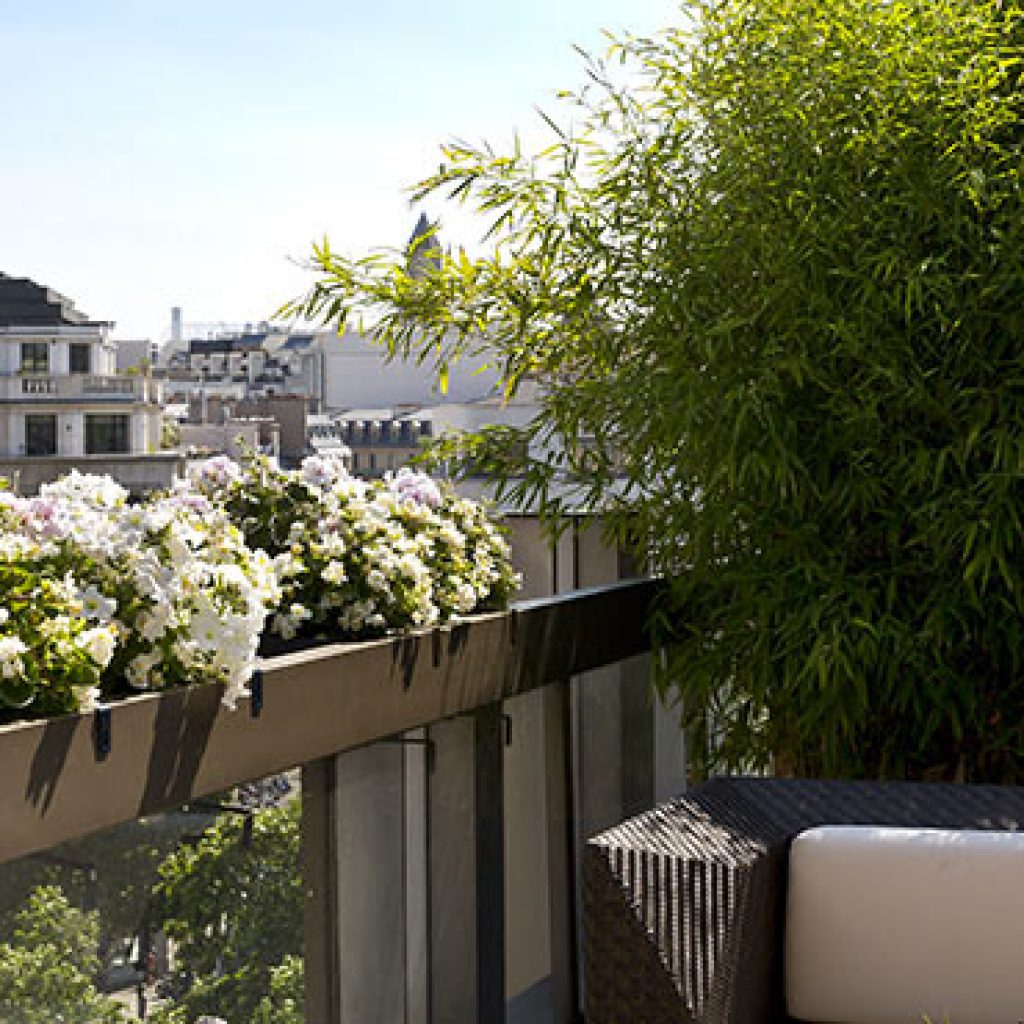 événement entreprise rooftop