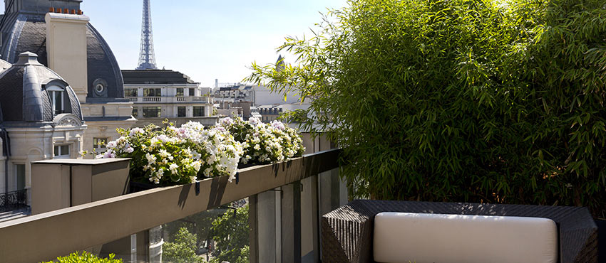 événement entreprise rooftop